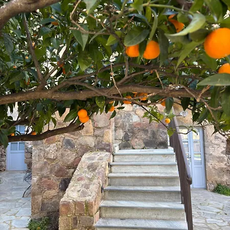 L'hostal De Piaghja ホテル カロンザナ