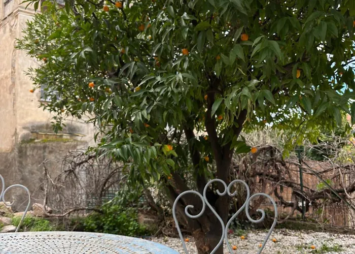 L'hostal De Piaghja ホテル カロンザナ