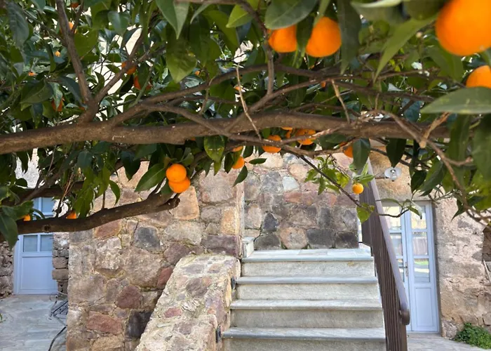 L'hostal De Piaghja ホテル カロンザナ